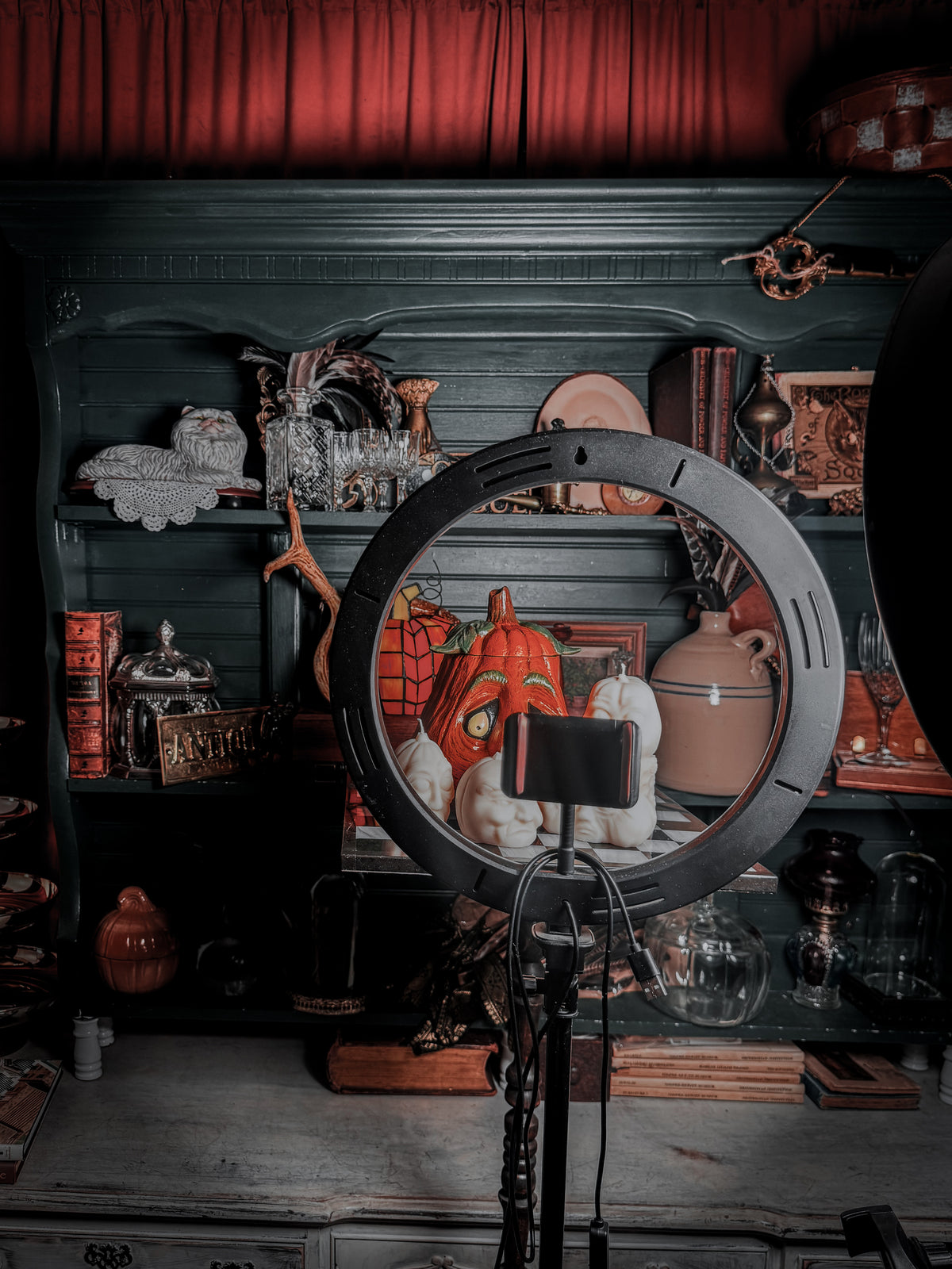 The Scatterbrained Scientist | The Residents Collection